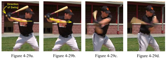 Baseball Swing Anatomy - Shoulders muscles push and pull to swing the bat