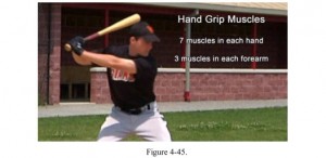 11 of 12 – Guiding Action of the Hands (text)